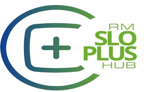 (Polski) Projekt RM SLO PLUS Hub