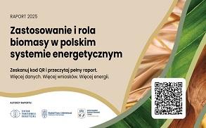 Raport: Zastosowanie i rola biomasy w polskim systemie elektroenergetycznym